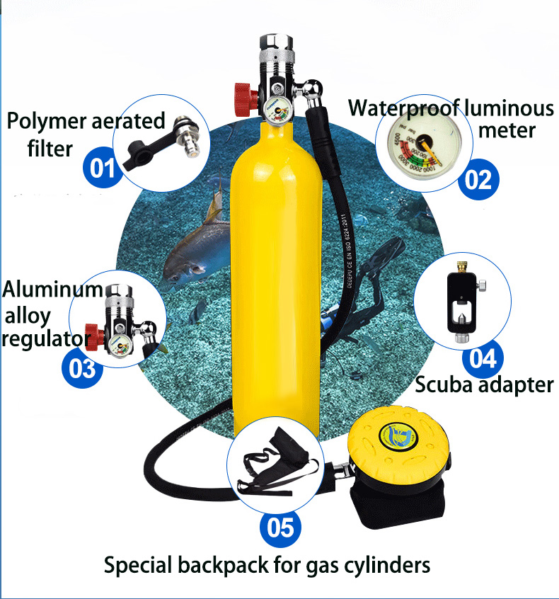 Sauerstoff-Tauchflasche Tragba – Diving Mask Bewertung und Preis