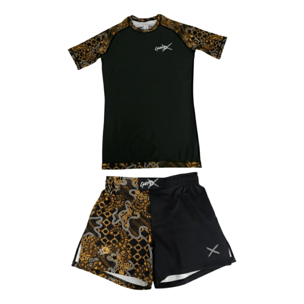 Premium BJJ & MMA Ausrüstung I – Rash Guard Bewertung und Preis